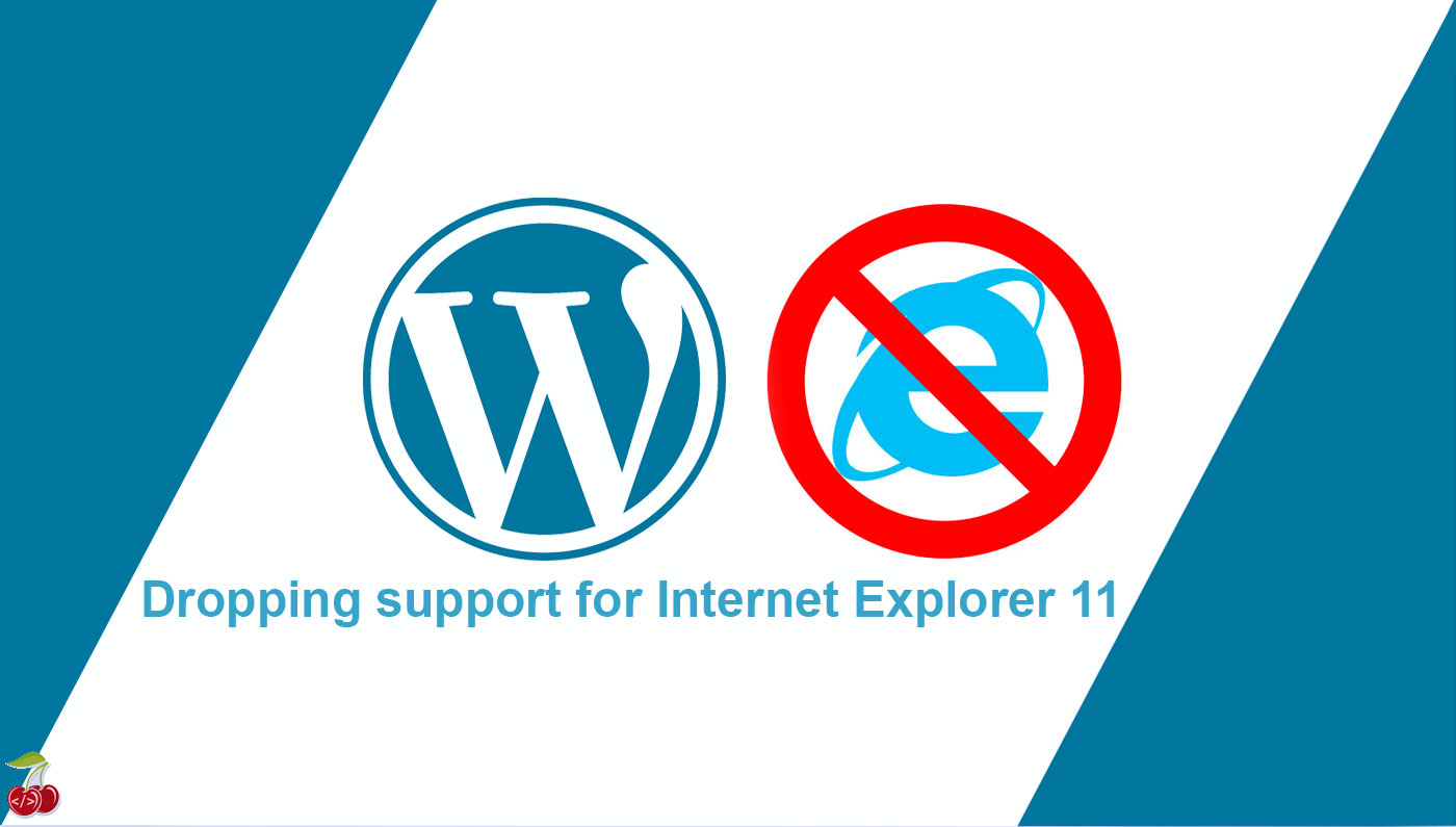 وردپرس از Internet Explorer 11 پشتیبانی نمی‌کند