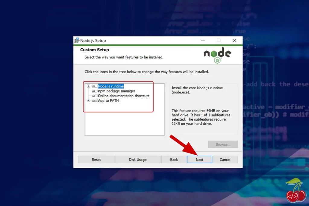 nodejs در ویندوز - نوع نصب